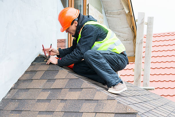 Roof Gutter Cleaning in South Vacherie, LA