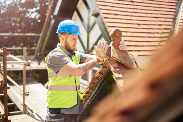 Best Gutter Installation and Roofing  in South Vacherie, LA